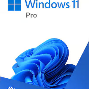 Microsoft Windows 11 Pro (PC)